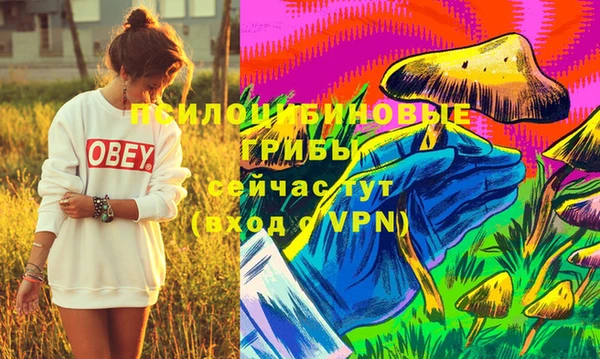 mdpv Майский