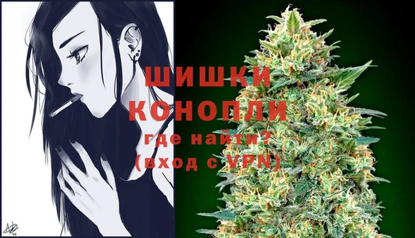 spice Медногорск