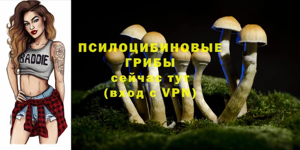 мдма Медвежьегорск