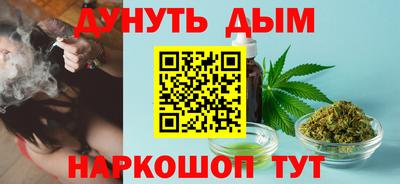 индика Бийск