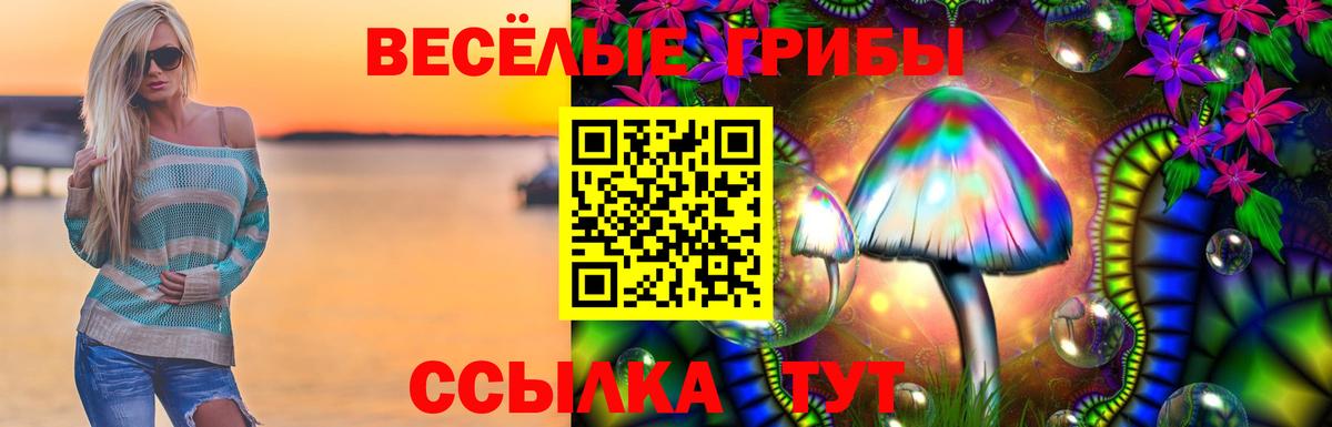 Темрюк  Псилоцибиновые грибы мухоморы  Псилоцибиновые грибы Psilocybine cubensis  Вход с VPN 