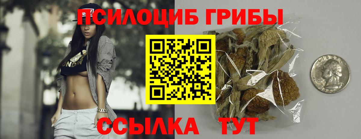 Псилоцибиновые грибы Magic Shrooms  Темрюк 